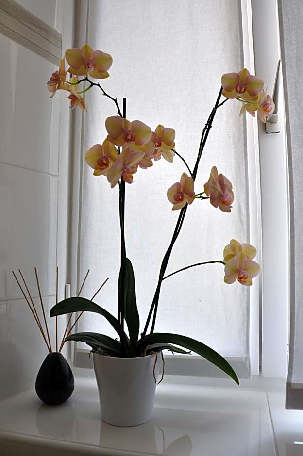 Annie's Bed & Breakfast