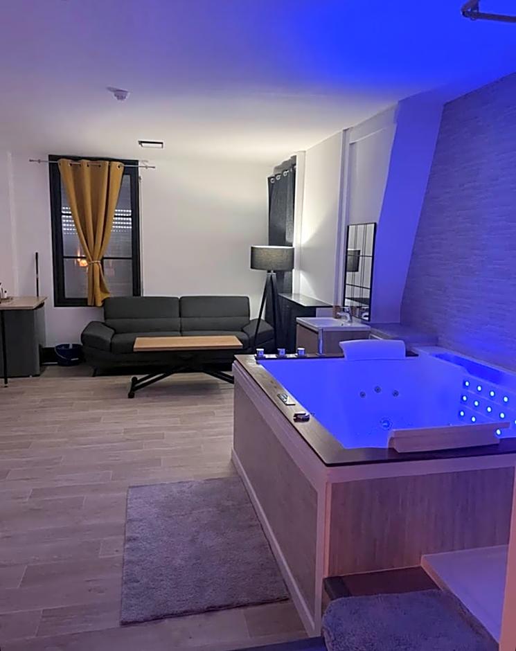 Magnifique Loft 35m2 Jacuzzi RVB NIGHT 1