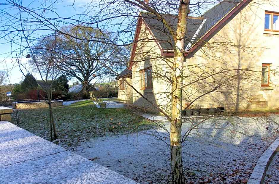 The Hollies on the Wall