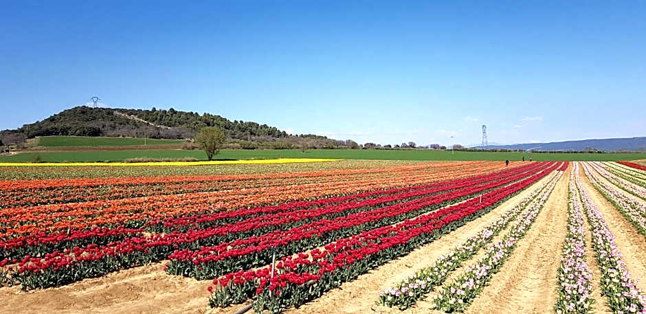 La maison de Lalouette