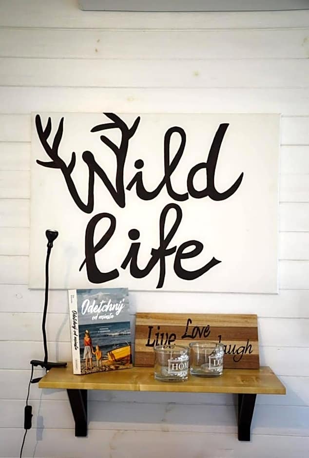 Bajkowy domek Villa Rosa na Kaszubach