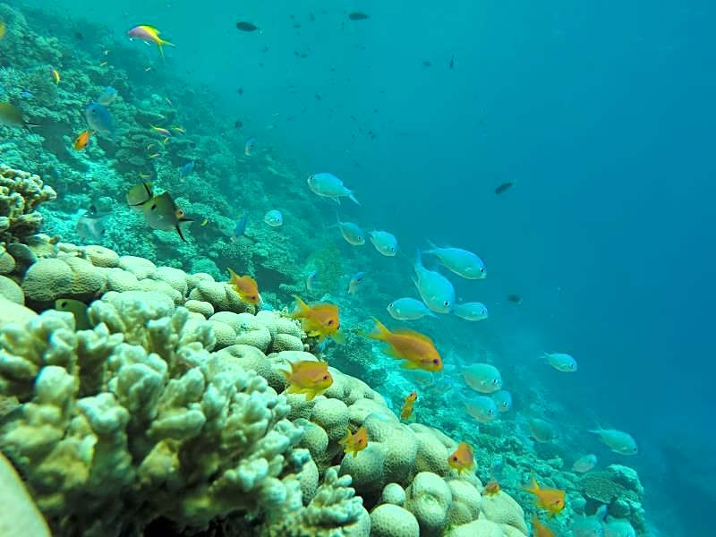 Narnia Maldives Hotel at Maafushi