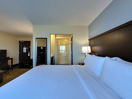 1 King Studio Suite Comm Accessible