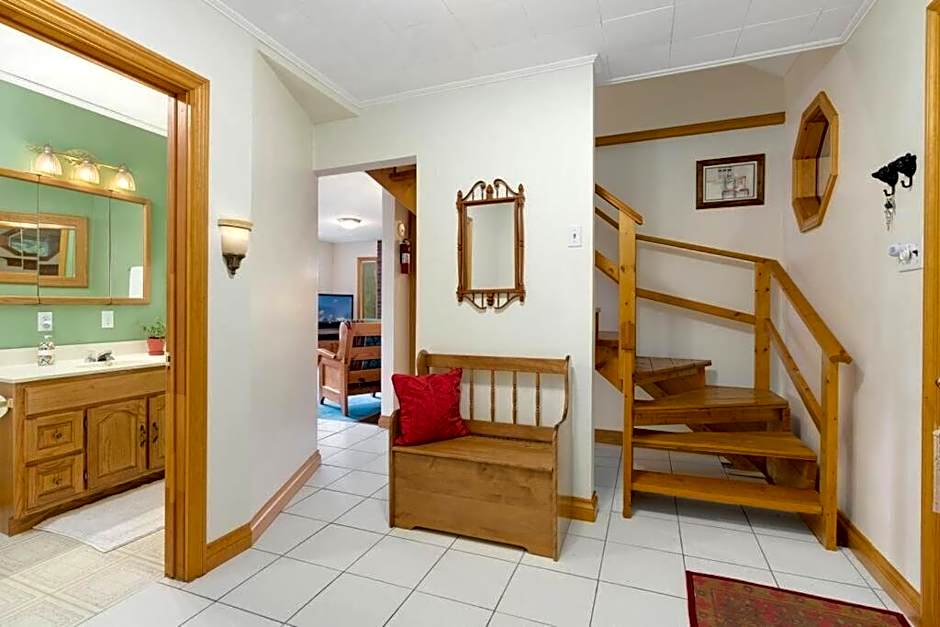 Bear Essentials Hideaway