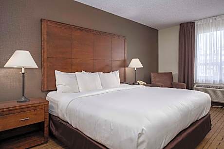 1 King Bed Suite Nonsmoking