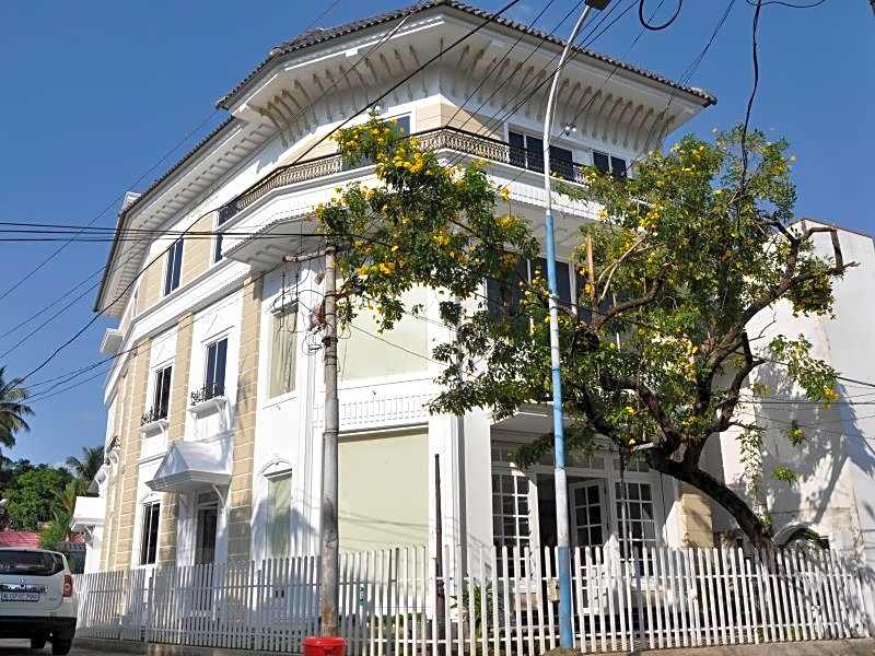 Daffodils Spice Court