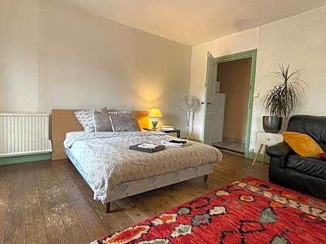 Grand studio et jolies chambres à louer