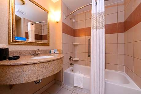 King Studio Suite - Mobility Access/Non-Smoking
