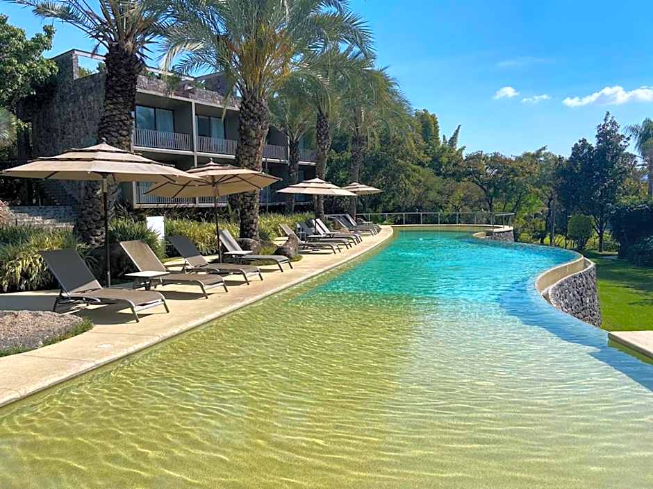 Huayacán Cuernavaca Curamoria Collection