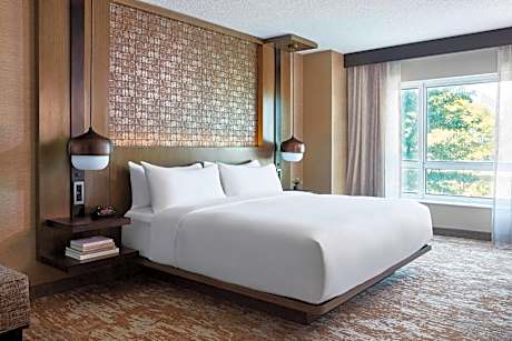 One-Bedroom King Suite with Sofa Bed