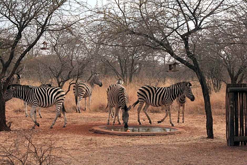 Makhato 84 Bush Lodge