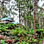 Lemonthyme Wilderness Retreat