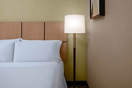 1 King Bed Studio Suite