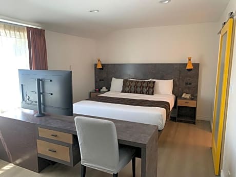 Deluxe King Suite