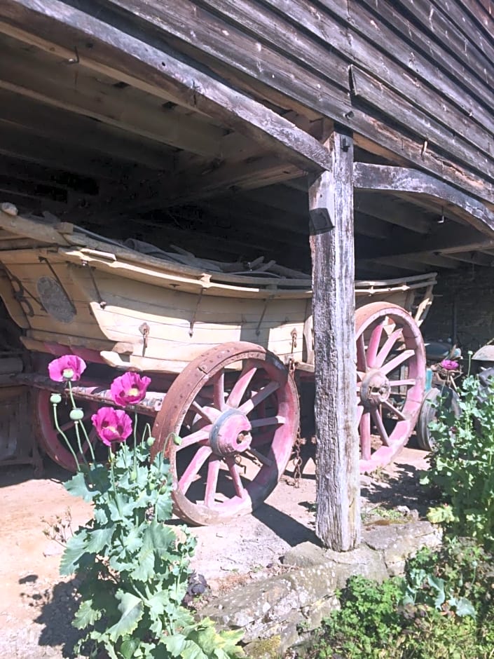 Lower House Farm B&B, Herefordshire