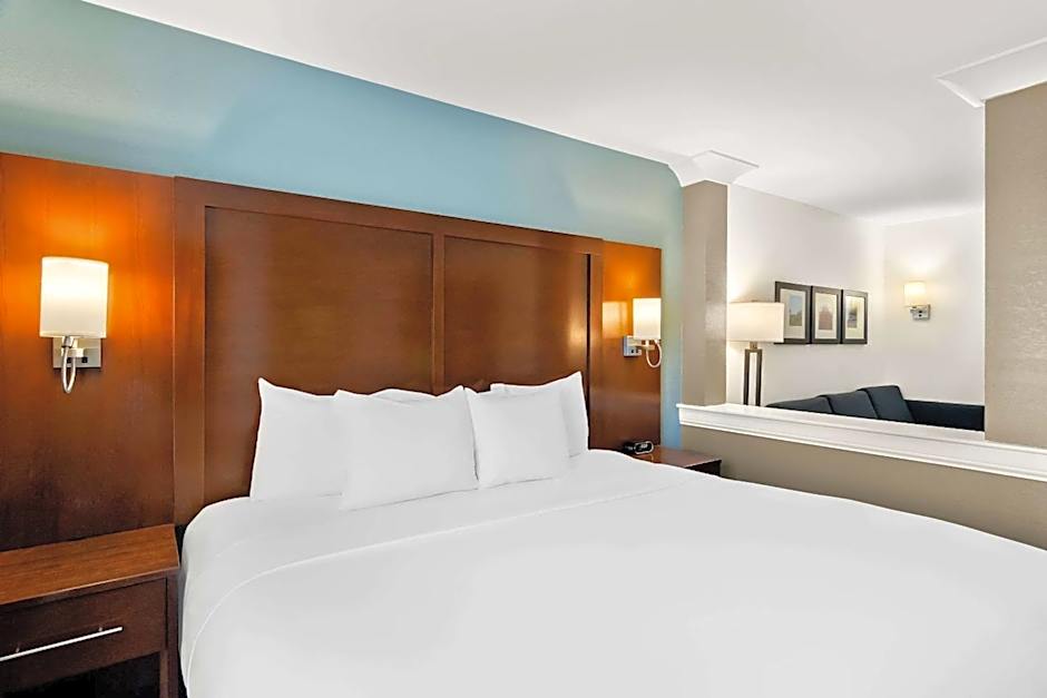 Comfort Suites Rensselaer near Fair Oaks