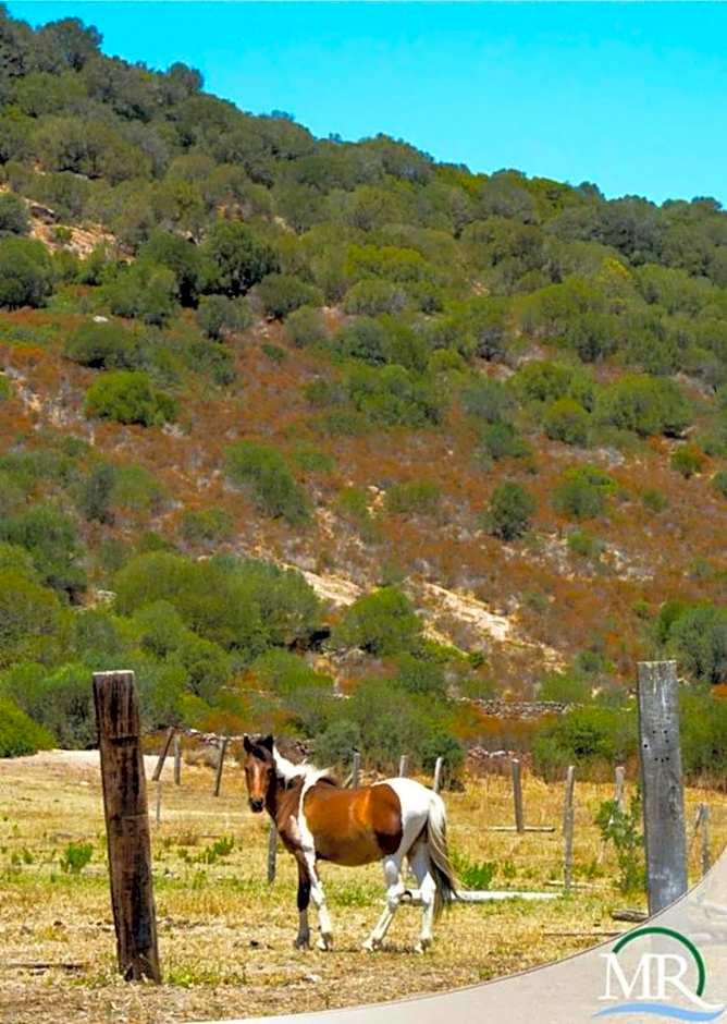 Residence Hotel Monte Ricciu