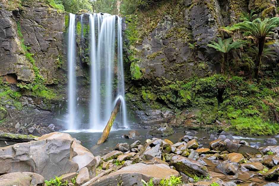 The Dolphin Apartments