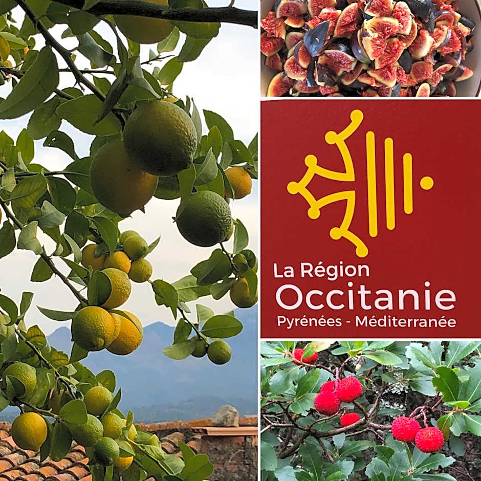 CANET Mobil Home "La Sardine"