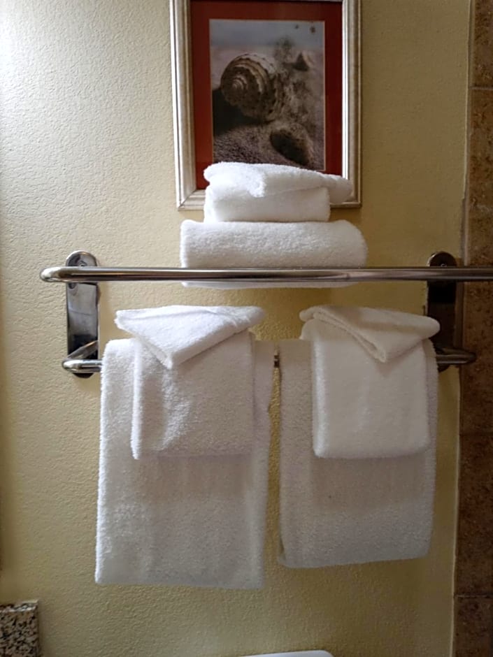 Hawthorn Suites by Wyndham Corpus Christi/Padre Isle