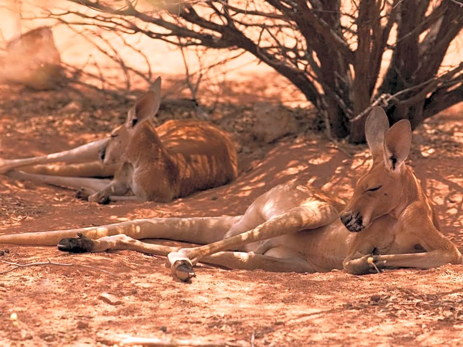 ibis Styles Alice Springs Oasis