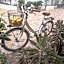 Hotel Costa Azzurra -Free Parking - Easy Stay -Spotorno