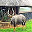 Ditholo Game Lodge Bela Bela
