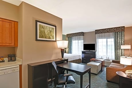 1 King Bed Studio Suite Nonsmoking