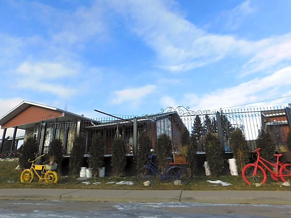 The Calgary Hub hostel style Home