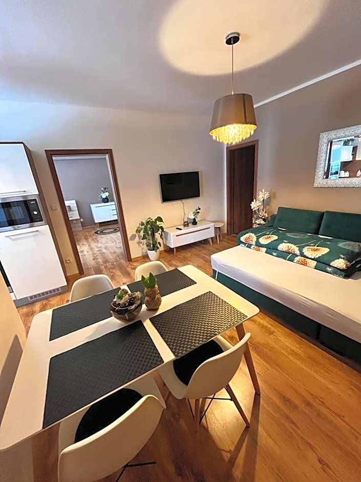 Apartmány Koněvova