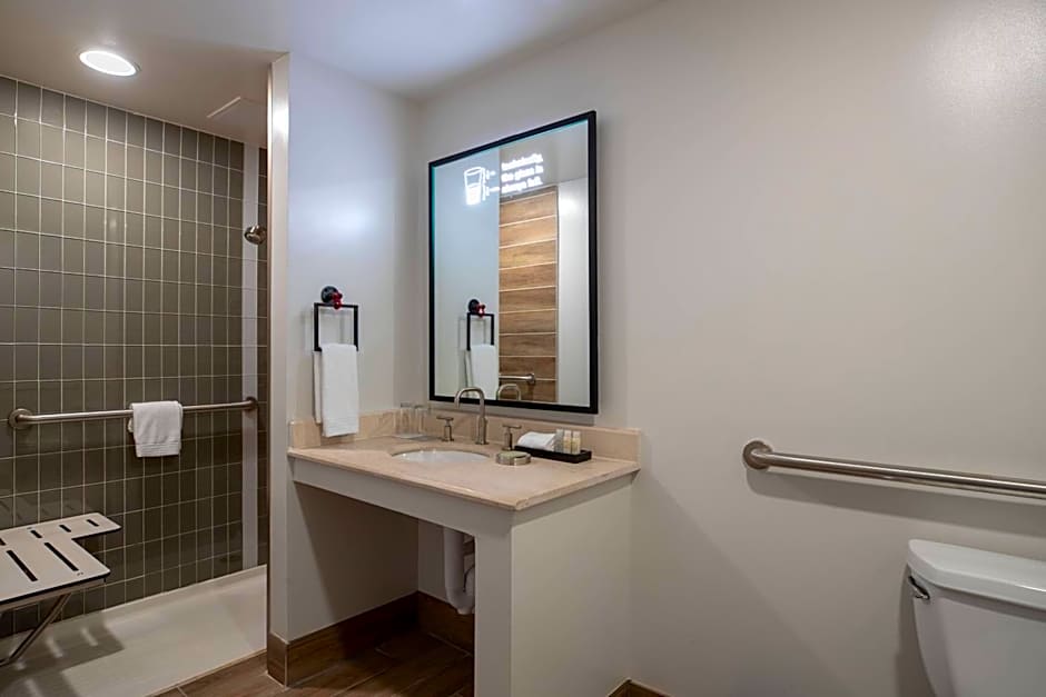 Renaissance by Marriott Toledo Downtown Hotel