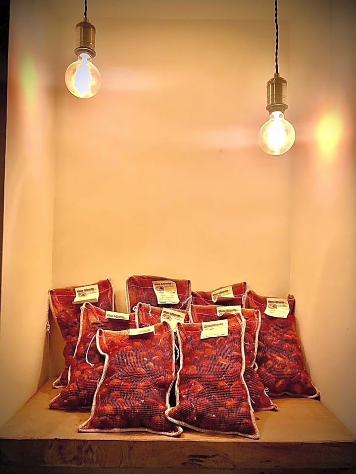 Guest house IL VICOLO