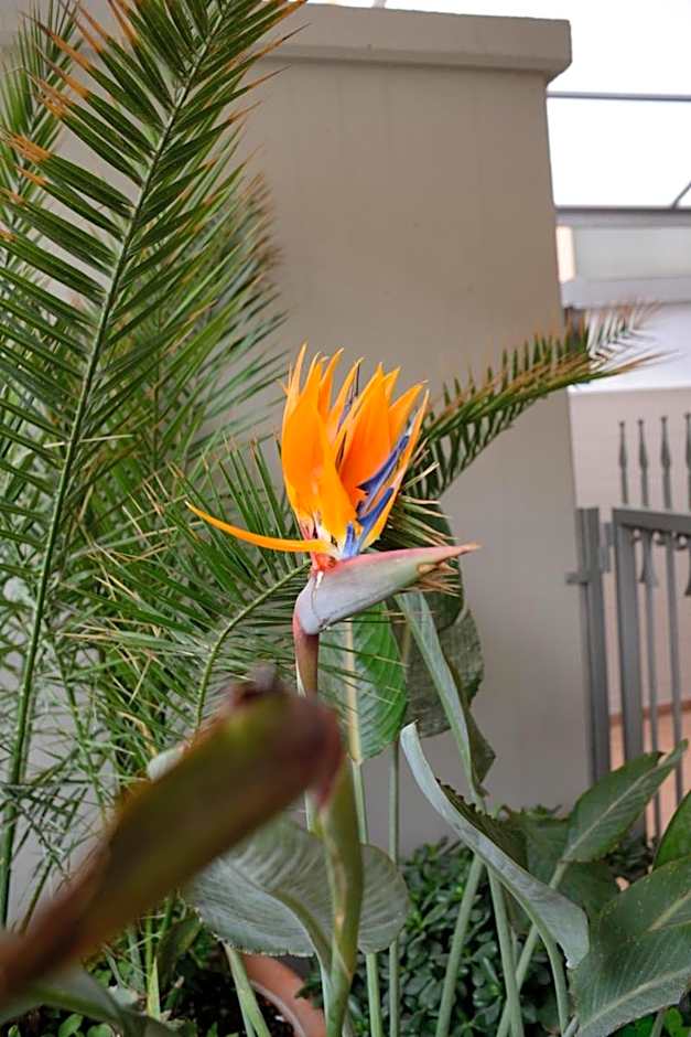 Mediterranea Sea House