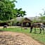 Tomjachu Bush Retreat