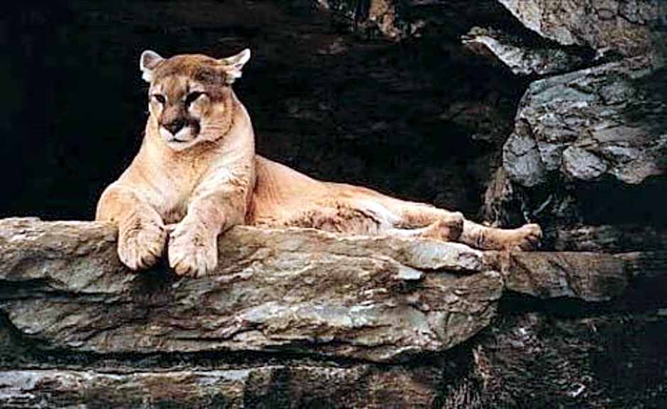 Comfort Inn Hummelstown near the Park - Hershey