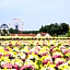Hotel Royal Garden Kisarazu / Vacation STAY 72216