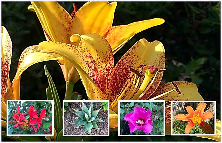 Chambres d'hôtes de La Roche