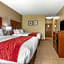 Comfort Inn & Suites Mccomb