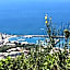 Poggio Aragosta Hotel & Spa