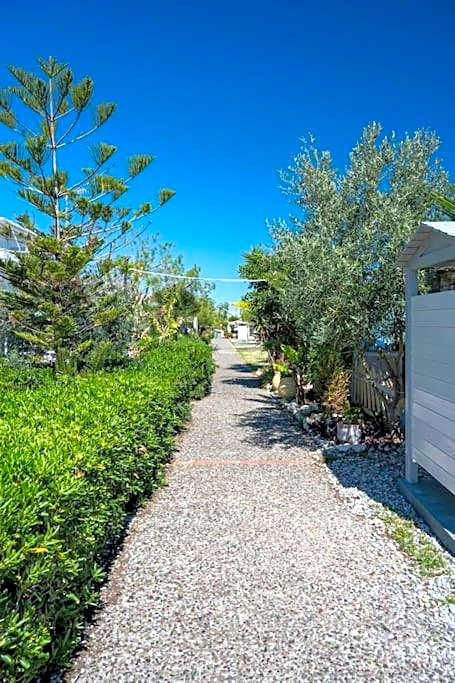 Μεζονέτα στο κύμα