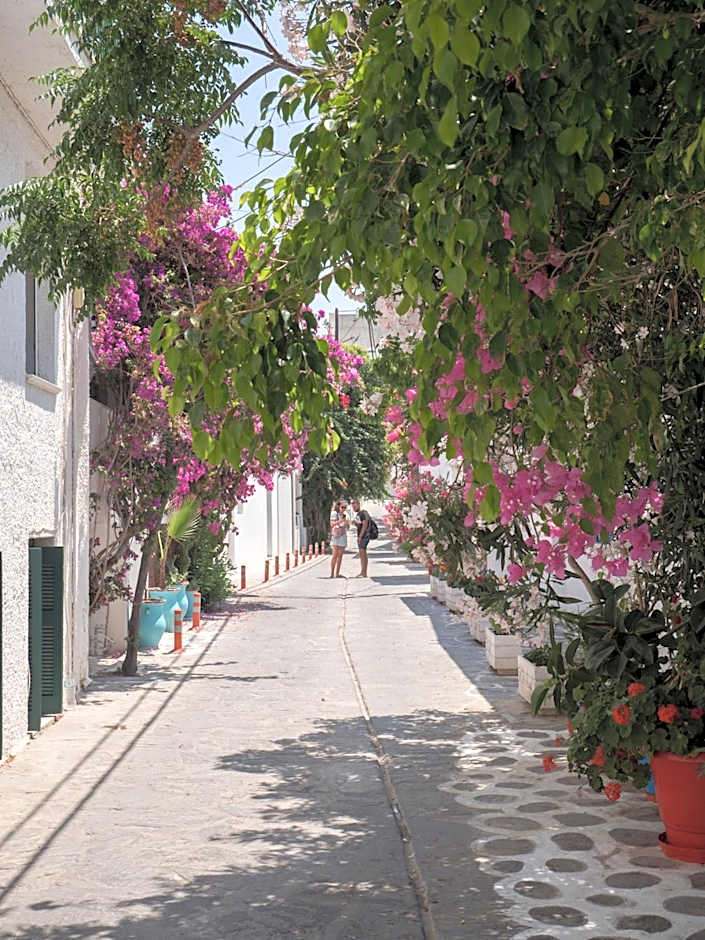 TERRA FOS NAXOS STUDIOS