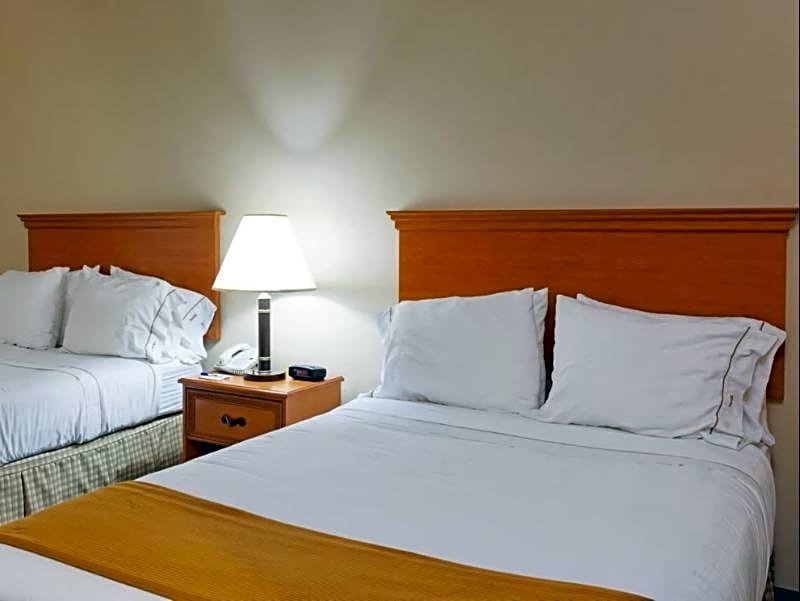 Holiday Inn Express & Suites Sylacauga