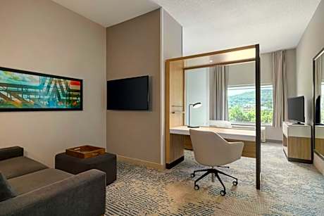 King Suite with Sofa Bed