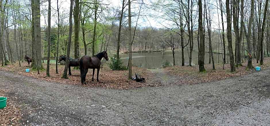 Le Pavillon De Gouffern