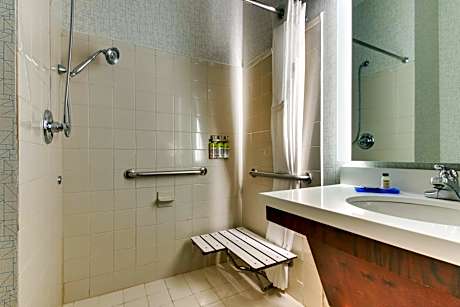 Suite - Mobility Access Roll in Shower/Non-Smoking