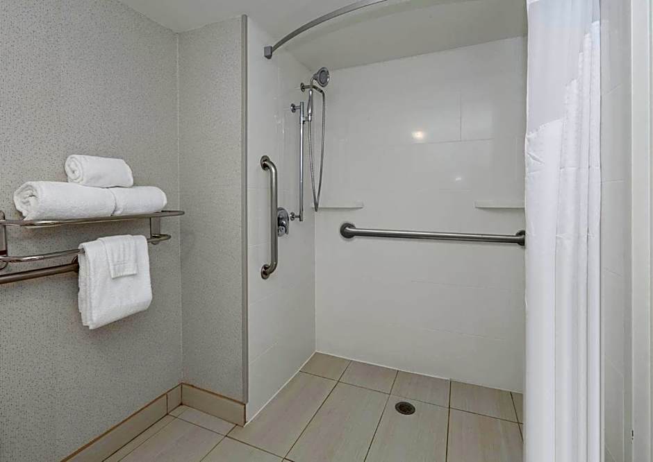Photo 1 of 4 of 1 King Bed Suite, Mobility Accessible, Roll in Shower