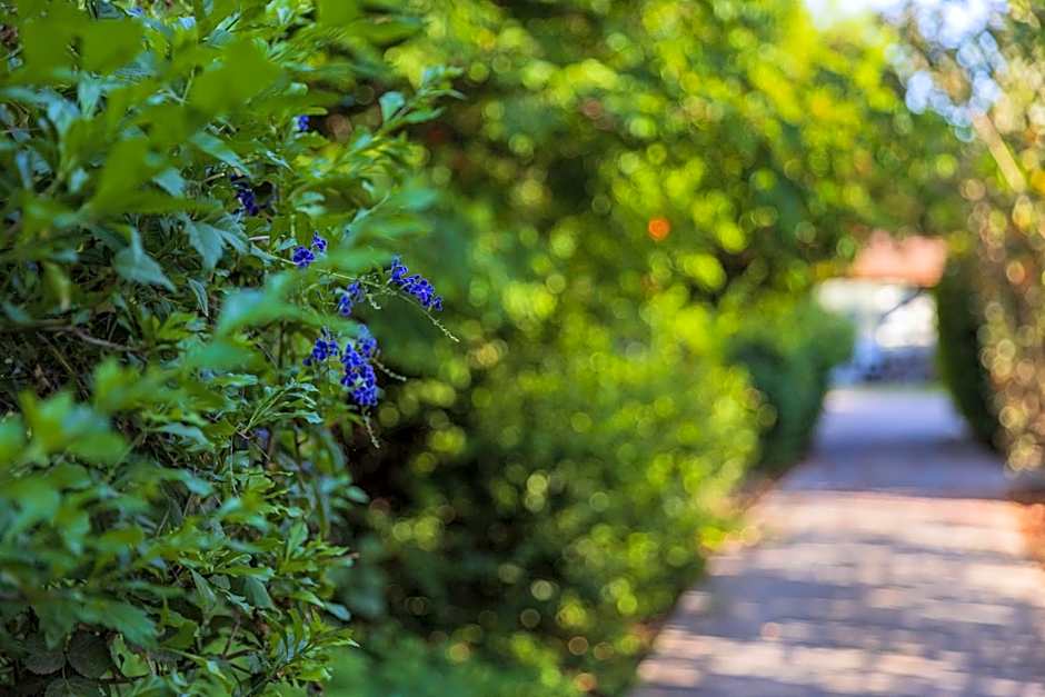 Nofey Gonen Holiday Village