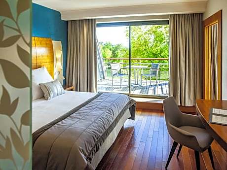 Deluxe King Suite