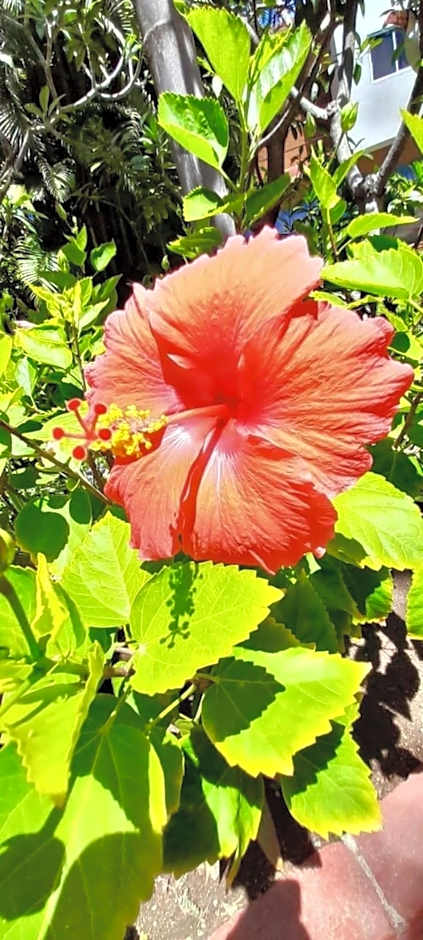 La Paloma Oceanfront Retreat