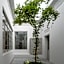 Casa Bosque Eduviges